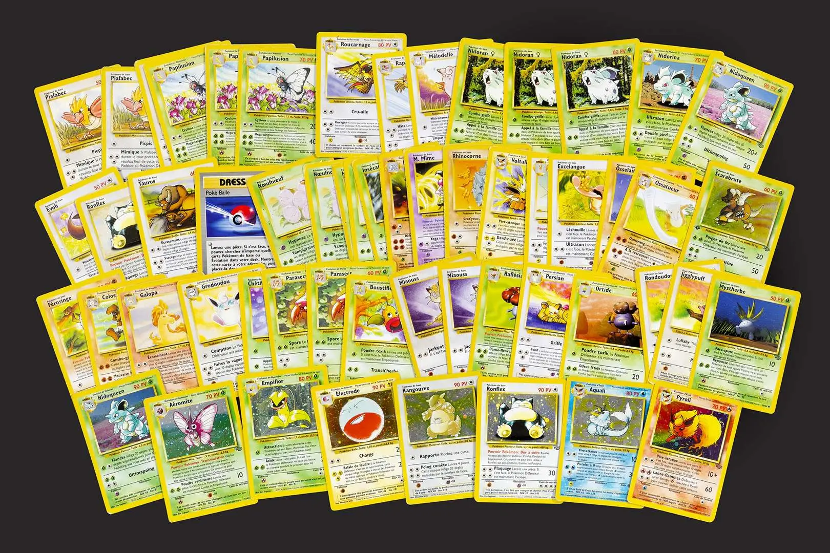 Pokémon: Jungle, Jungle