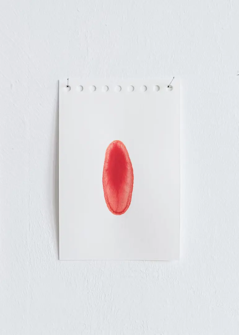 Christian Frosch "EW edition #5"