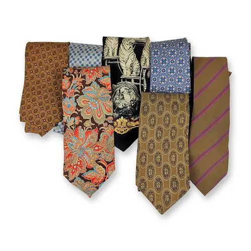 6pc Designer Silk Neckties