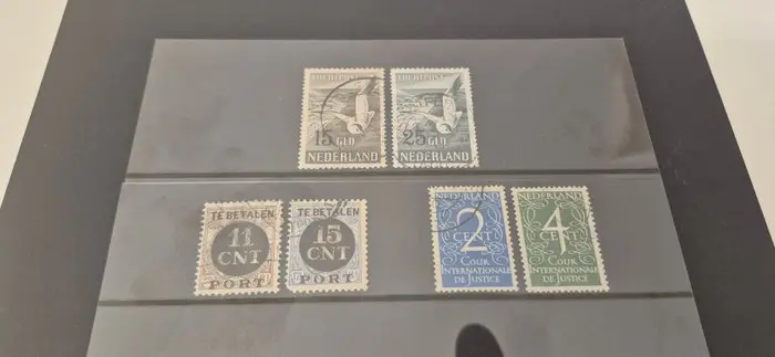 Netherlands 1924/1951 - Meeuwen, court and stamped police report