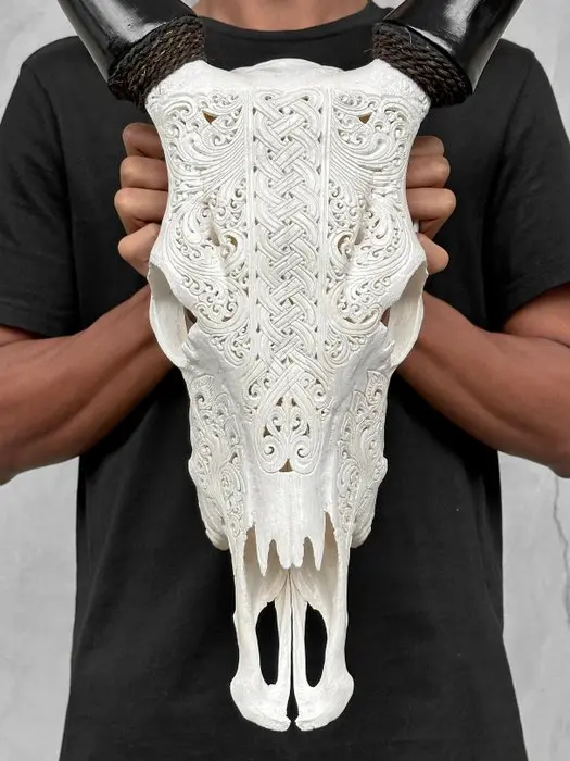 NO RESERVE PRICE - Authentic White Carved Cow Skull...