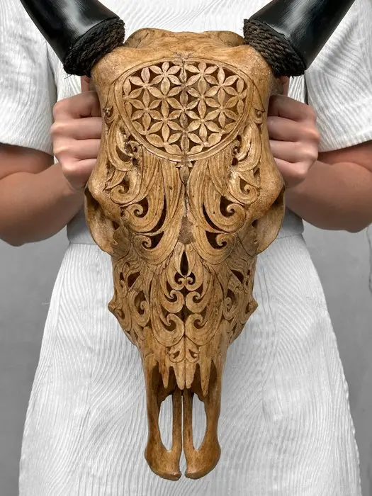 NO RESERVE PRICE - Stunning Brown Carved Cow Skull...
