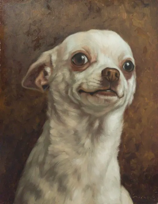 Cirezzi - Chihuahua Blanco Sonriente
