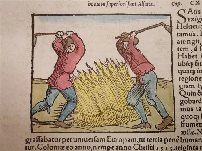 Sebastian Münster (1489–1552) - Cosmographia Universalis...