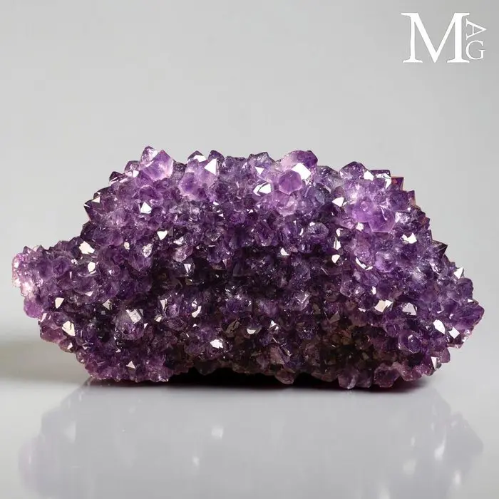 Extra Quality Uruguay Purple Fire