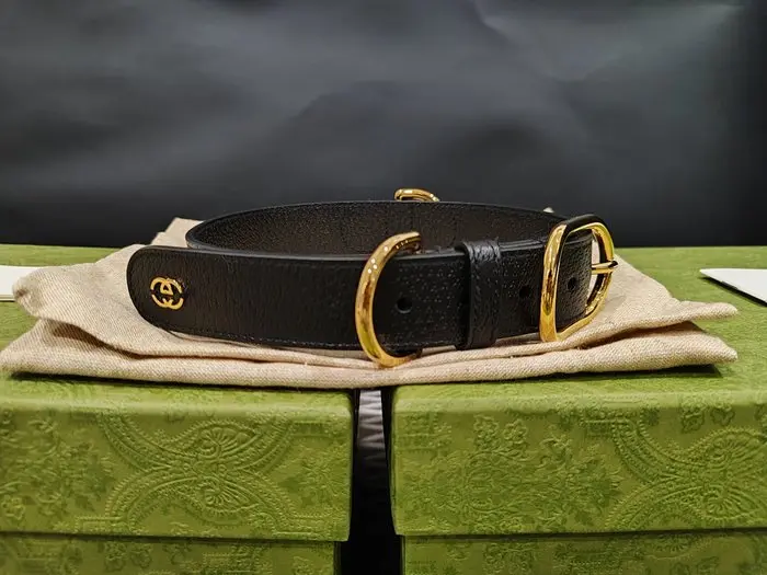 Gucci - Dog Clothing - Pet accessory