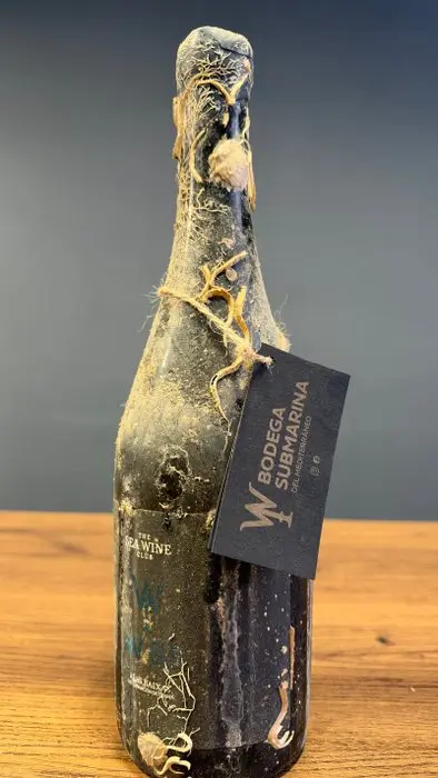 2022 Bodega Submarina del Mediterráneo - The Sea Wine Club