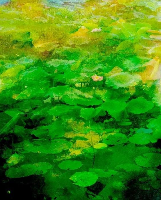 Viet Ha Tran - Emerald Dreams (2019)