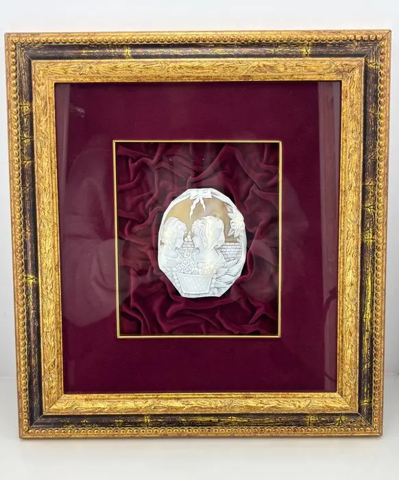 Cassis madagascariensis - Cameo - Hand-engraved cameo