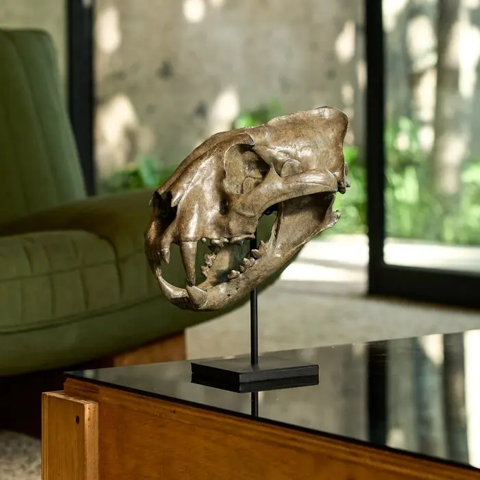 NO RESERVE PRICE - A Replica of Tiger Skull on a custom...