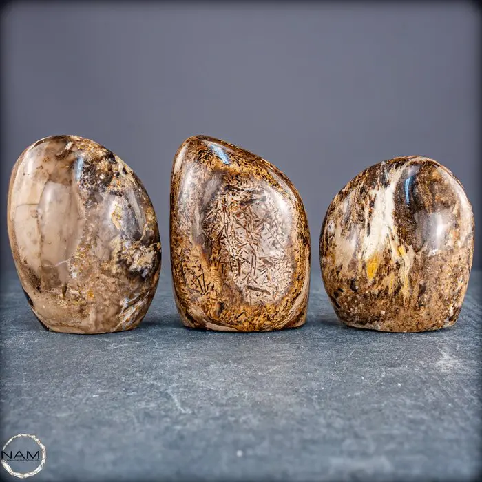 Natural Chocolate Opal Freeforms with exceptional drawing- 1668.21 g - (3)