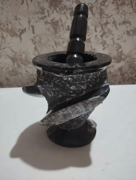 Fossilised animal - 12.5 cm - 10.5 cm