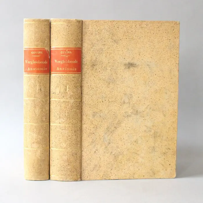 Georges Cuvier - Vorlesungen über vergleichende Anatomie - 1801-1802