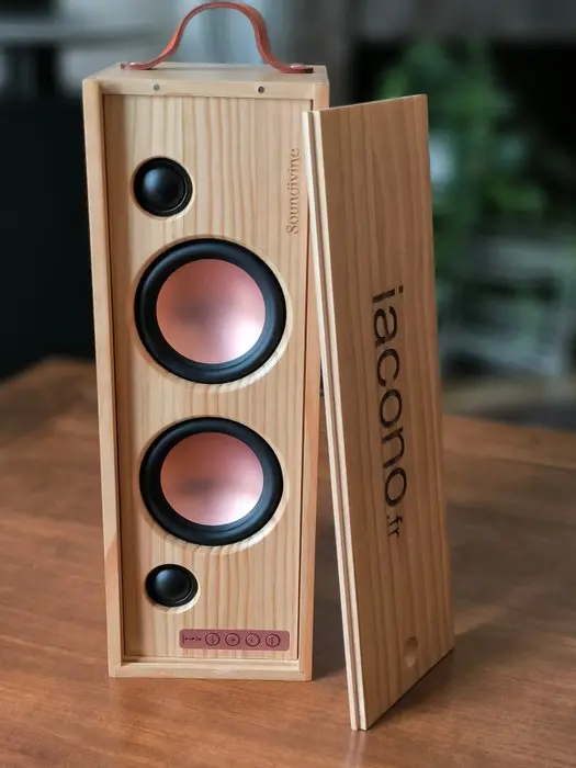 Soundivine - Le Magnum Portable Wireless Bluetooth Speaker