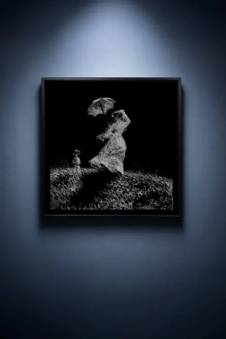 Tijs Dragtsma (1992) - A Parasol Scratched From Wind