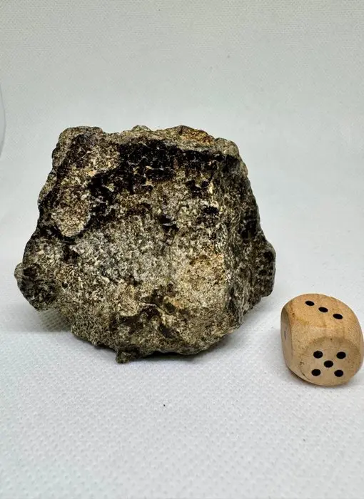 Eucrite Achondrite Meteorite - 283 g - (1)