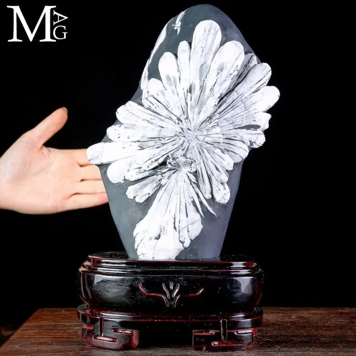Large Natural Chrysanthemum Stone with Striking White...
