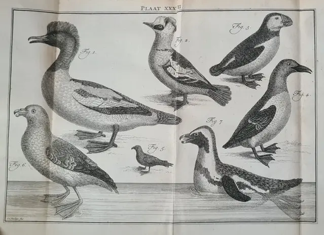 Carl Linnaeus - Natuurlyke Historie