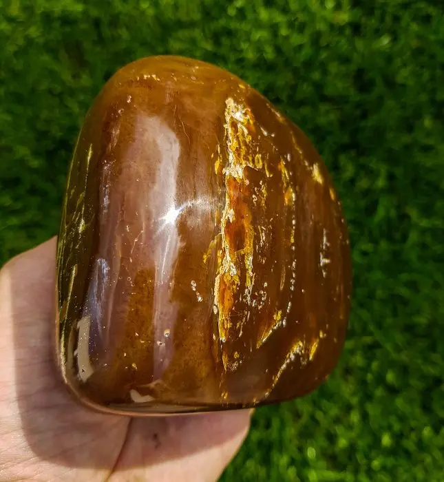 Amber - Amber - XL Gold Amber HQ Freeform Barnsteen - 10...