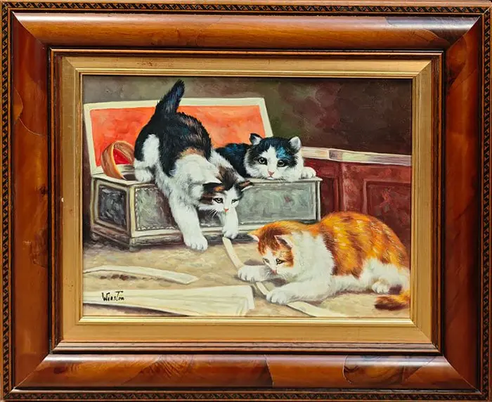 Winston - Trois chatons, un instant de malice