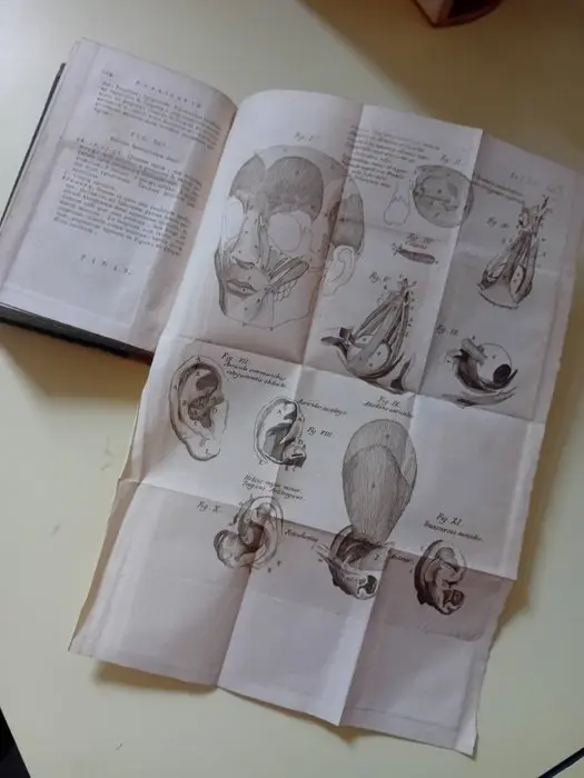 L. M. A. Caldani - Institutiones Anatomicae - 1781