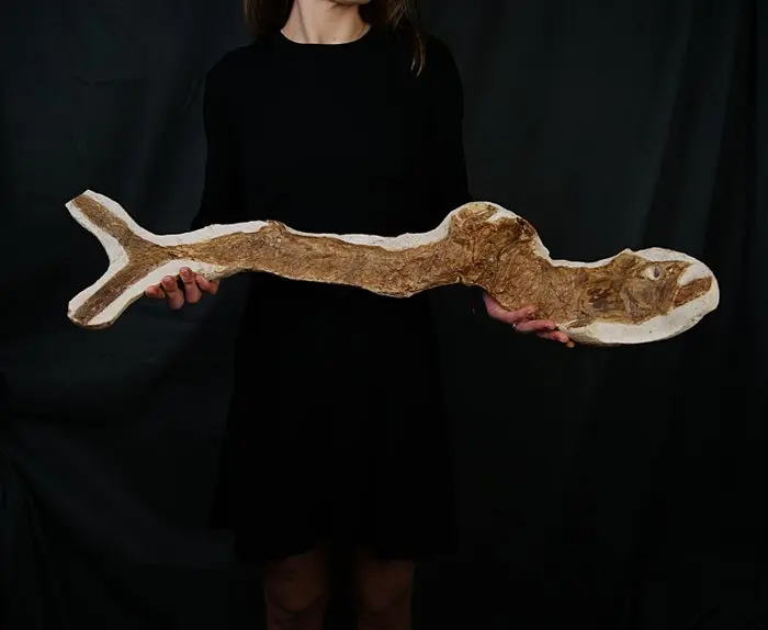Fish - Fossil skeleton - Depredador pez fósil - 84 cm