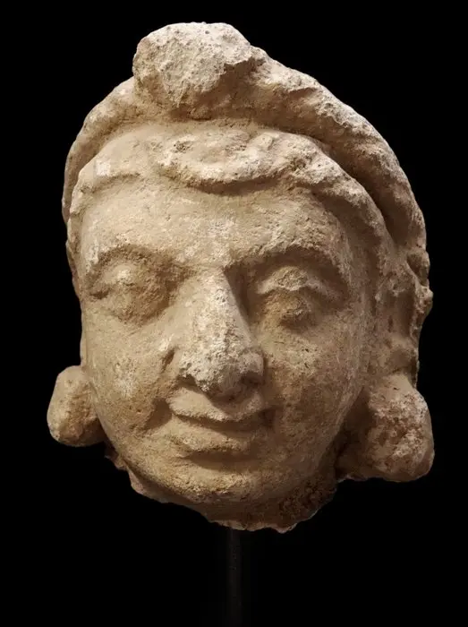 Gandhara - Stucco head of a bodhisattva - Greco-Buddhist...