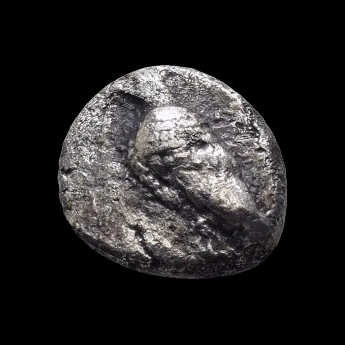 Troas, Abydos Diobol 500-480 BC (No reserve price)