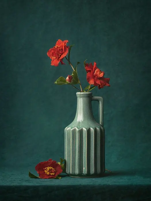 Tessa Posthuma de Boer - Camelia