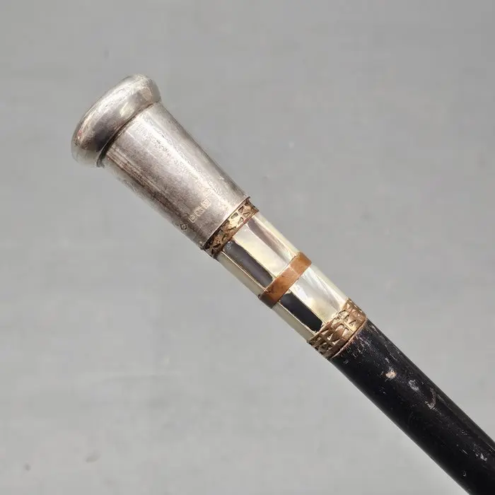 Walking stick - .800 silver - English Silver Stock