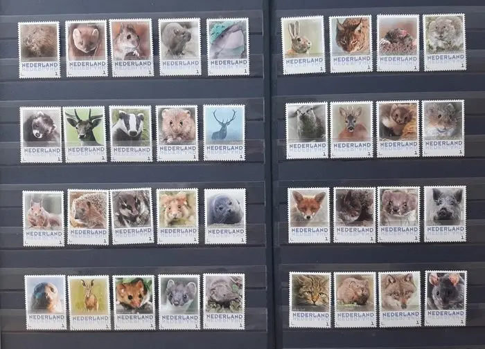 Netherlands 2013 - Complete series of personalized stamps...