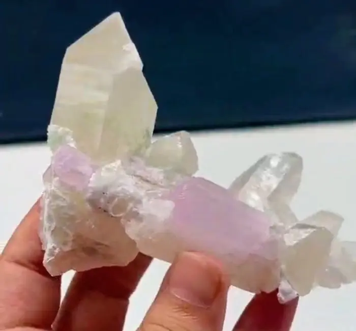 Kunzite Crystals on matrix - Height: 11 cm - Width: 7 cm- 187 g - (1)
