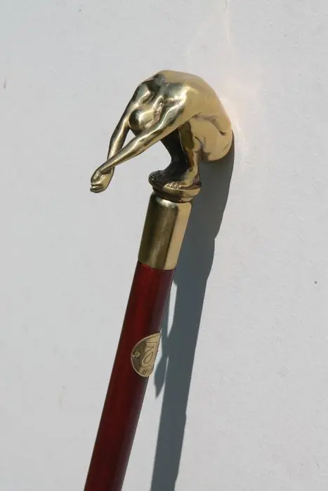 Walking stick - Bronze, Wood