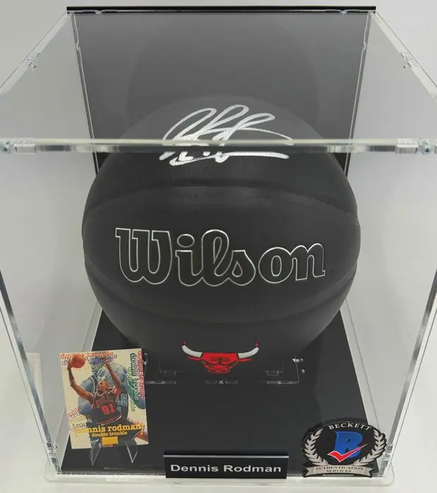 Chicago Bulls - NBA Basketball - Team Premiere 2026...