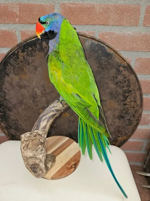 Super beautiful