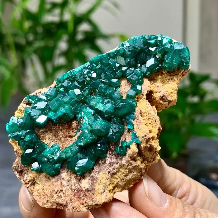 Dioptase Crystal cluster - Height: 76 mm - Width: 50 mm- 76 g