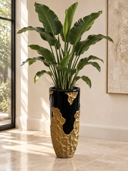 Flower pot - XXL Indoor Flower Pot - Black High Gloss...