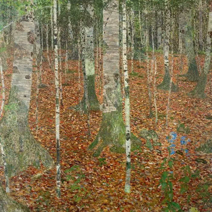 Gustav Klimt (after) - Birch Forest - Fine art giclée - 40x40 - licensed print