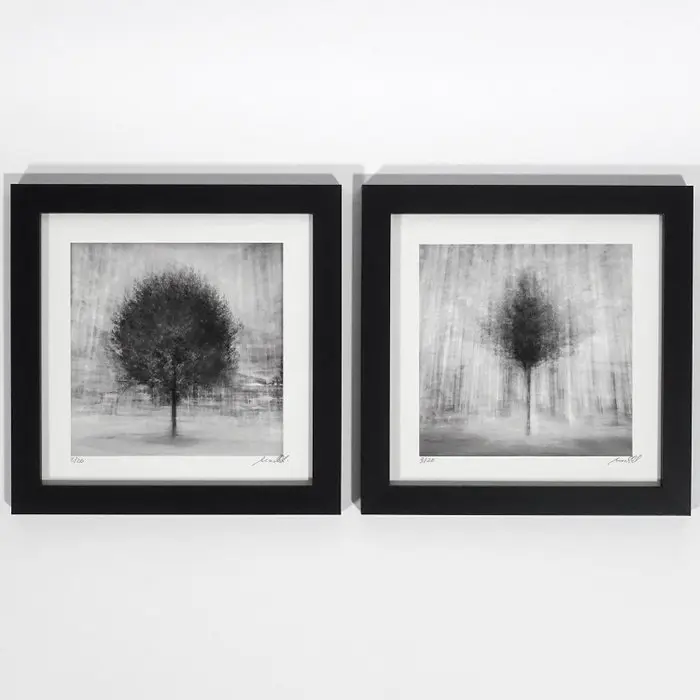Frank Machalowski - Two framed photographs from the series 'stadtbaum'