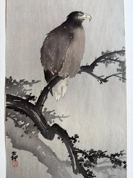 Eagle on a Plum Branch - Ohara Koson (1877-1945) - Japan