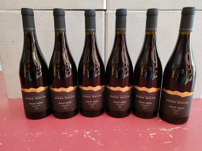 2024 Elena Walch Pinot Nero - Trentino Alto Adige - 6 Bottiglie (0,75 L)