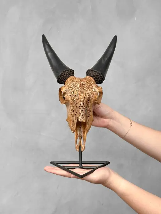 NO RESERVE PRICE - Authentic Brown Carved Goat Skull on a...