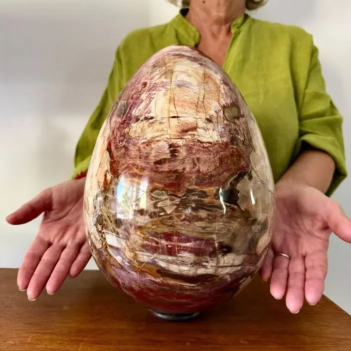 19.6 kg - Monumental sculpture in petrified wood Egg...