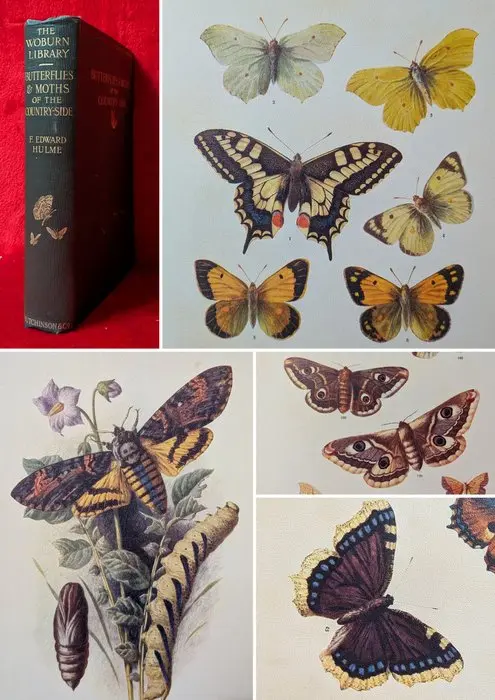 [FIRST EDITION] F