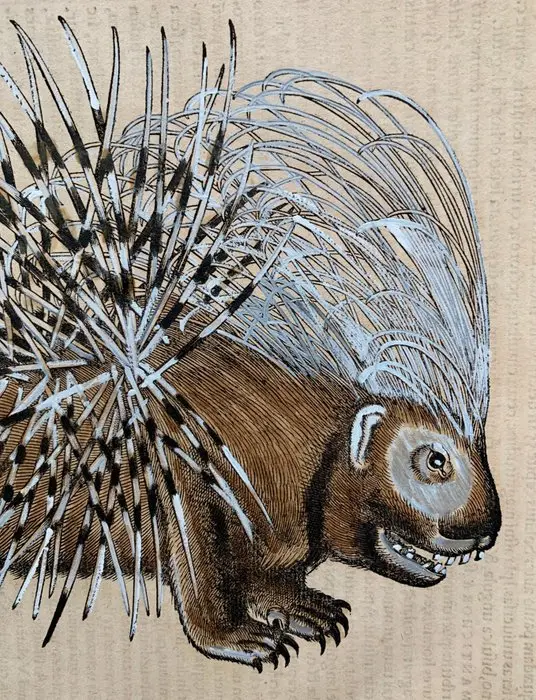 Conrad Gesner - Icones animalium quadrupedum uiuiparorum et ouiparorum - 1555