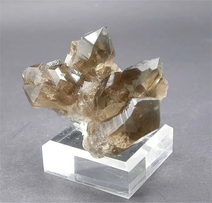 Smoky quartz Crystals on matrix - Height: 8 cm - Width: 5.5 cm- 300 g - (1)