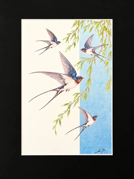 AniB. - SWALLOWS in Flight
