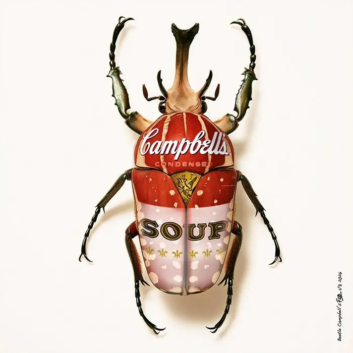 F2B - Beetle Campbell's 1I8