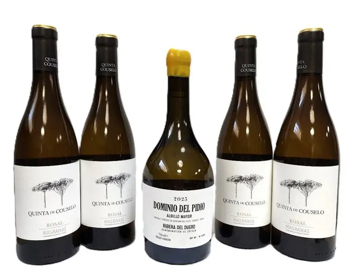 2025 Dominio del Pidio Albillo x1 & 2024 Quinta de Couselo x4 - Rias Baixas