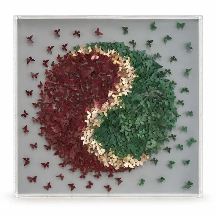 Mike Blackarts - Butterfly Wall Art – 3D Burgundy and Green